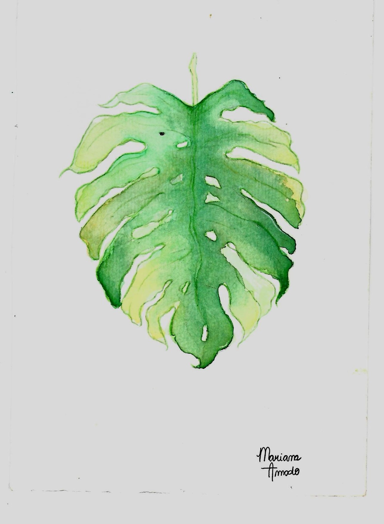 Desenho 13